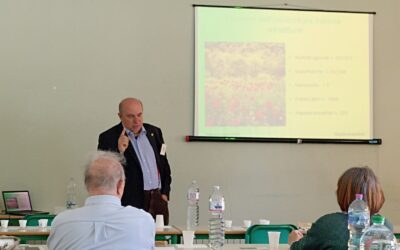 “In Dop signo (Italia) vinces”*. Elogio delle diversità