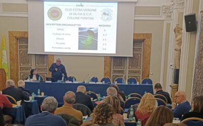 Riunione annuale dei panel riconosciuti